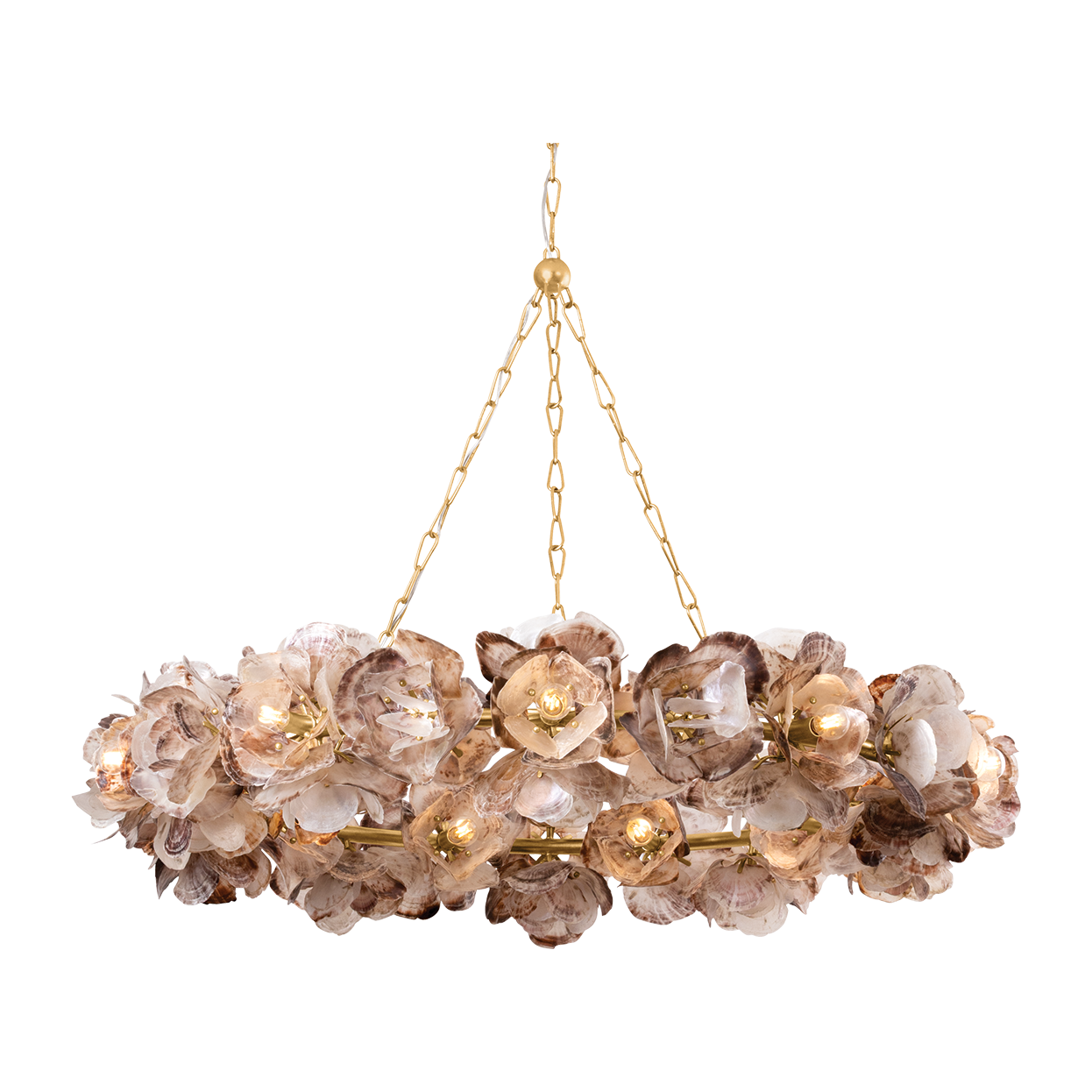 20-Light Oyster Shell Ring Chandelier / Default Title